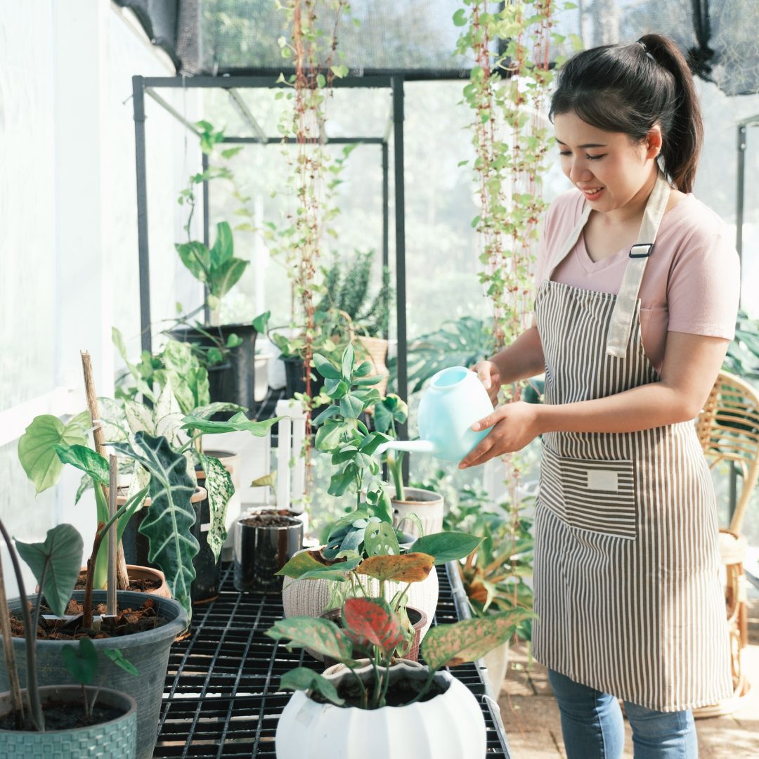 How To Keep Your Plants From Dying During Winter Months